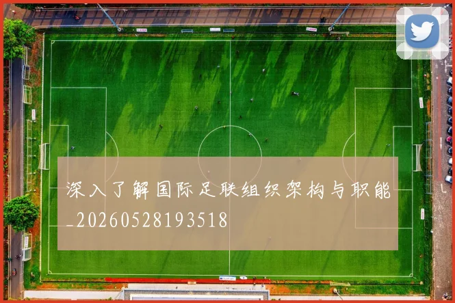 深入了解国际足联组织架构与职能_20260528193518