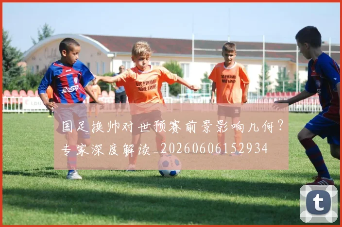 国足换帅对世预赛前景影响几何？专家深度解读_20260606152934
