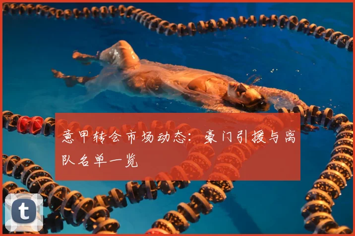 意甲转会市场动态：豪门引援与离队名单一览